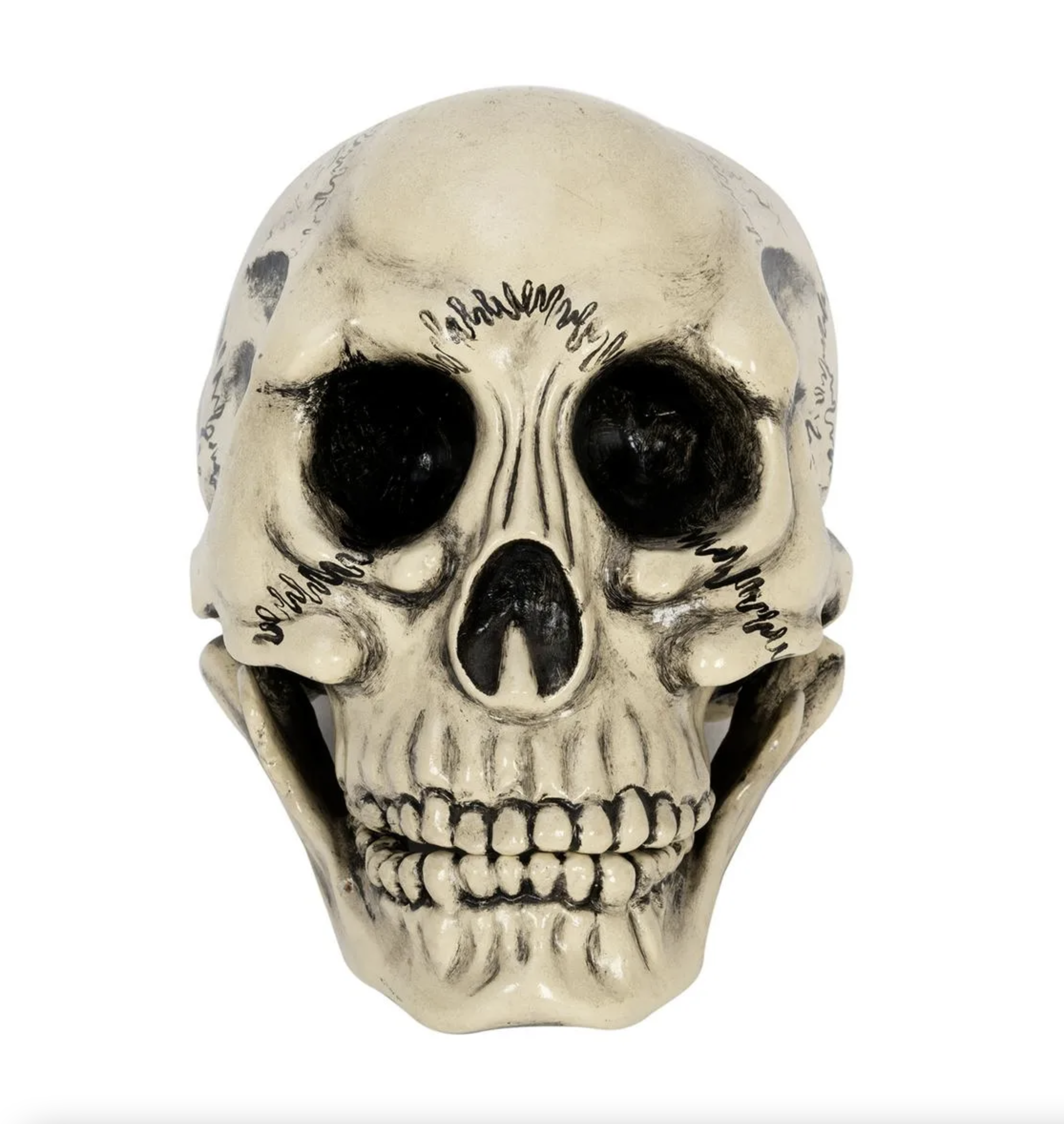 McElroy Talking Skull